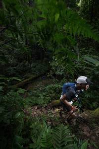 BIB: 
                            <button type="button" onclick="openModal(16029762)" class="btn btn-primary btn-sm float-right btn-popup" data-toggle="modal" data-target=".modal-high-quality">
                        <i class="fas fa-shopping-cart"></i> Add to Cart
                    </button>
                                            <button type="button" onclick="isThisMe(16029762, true)" class="btn btn-success btn-sm float-right btn-popup btn-isme hidden" data-toggle="tooltip" data-placement="bottom" title="นี่คือรูปของคุณใช่ไหม คลิกที่นี่เพื่อเอาเข้าอัลบั้ม">
                        <i class="fas fa-plus"></i> Add to album
                    </button>
                    <button type="button" onclick="isThisMe(16029762, false)" class="btn btn-warning btn-sm float-right btn-popup btn-isnotme hidden">
                        <i class="fas fa-ban"></i> Remove from album
                    </button>